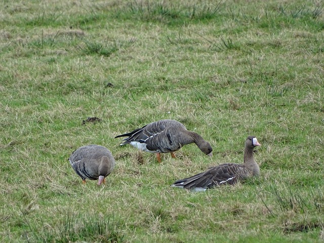 也能够带来 也能够带来