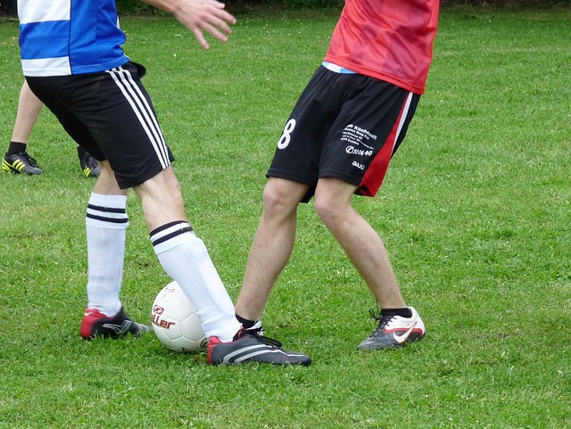 由主帅南门 由主帅南门